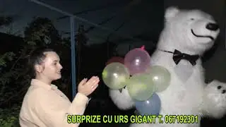 Surpriza cu ursul alb pentru draga Elena ! T. 067192301