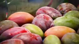Sunshine Code Chili Mango Dried From Fresh Mangoes to Spicy Treats