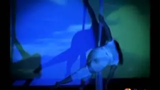 José Simón - Nube