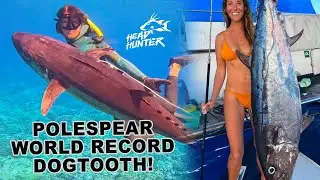 WORLD RECORD DOGTOOTH TUNA ON HEADHUNTER POLESPEAR