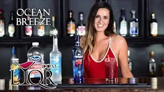How to Make an Ocean Breeze with Kristina!