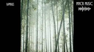 MNCR Music - Bambus