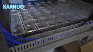 6 head water cup filling sealing machine  8 head 12 head customized  washing could also coutomize 1