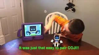 Magic Box: COJI from WowWee