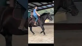 #horse #horselife #horsefarms #equestrian