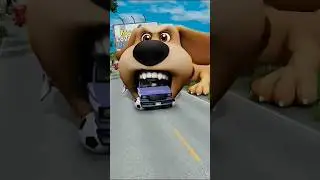 Happy Funny Cars vs Scary Ben Dog