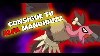 🎃RAID MANDIBUZZ🎃 ¡Evento de HALLOWEEN 2025! 🔥 INCURSIONES | PokeMMO