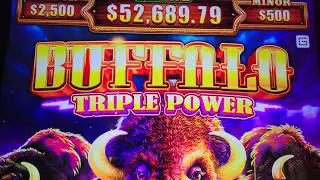 Buffalo Triple Power real slot play