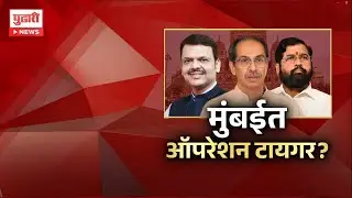 Pudhari News | मुंबईत ऑपरेशन टायगर ? #maharashtrapolitics #maharashtranews