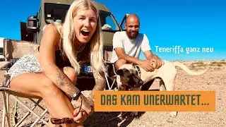 DAS ist uns NEU auf TENERIFFA: Reisen im WINTER