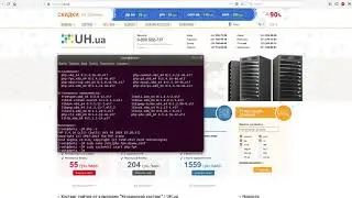 Установка wordpress на сервер caddy
