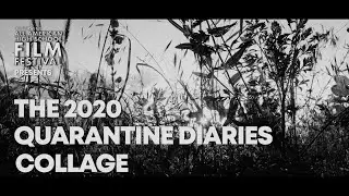 The 2020 Quarantine Diaries