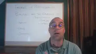 Theory week 14 video 4 -- Bauman and the experience of postmodernity part 1