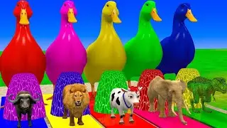 Long Slide Game With Cow Elephant Gorilla Hippopotamus Tiger 3d Animal Game Funny 3d Animals