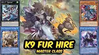 K9 FUR HIRE Deck Profile + 8 Combos (Post Feb26 Banlist & BPRO) [Jan 2026]