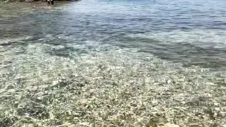 Sunis Efes Royal Palace 2019
