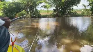 H&agrave;nh tr&igrave;nh t&igrave;m con c&aacute; kể tập 1 @SaphamFishing