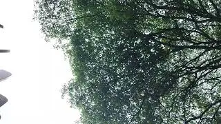 Ang Mo kio Central Playground phone sliding down
