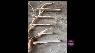 tree branch floating bookshelf art