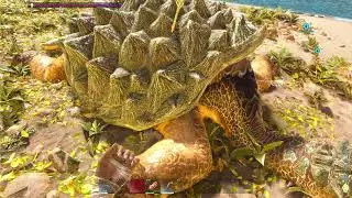 Esquadrao de Tartarugas - Ark Ascended Island Ep 03
