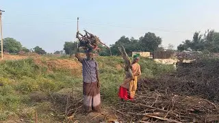 விறகு பொறுக்க போறோம்|Village Lifestyle|Idhu Namma Route. #tamil#vlog 