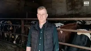 Rolnik z Mazowsza chce powiększyć stado bydła opasowego