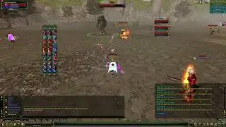 AN ARCHER CAUSES the boss to RESPAWN in ESLANT.
