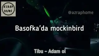 Tibu - Adam Ol (Lyrics)