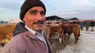 ÇORUM SUNGURLU HAYVAN PAZARI 29 OCAK ÇEKİMİ 1.BÖLÜM 30 OCAK 2026