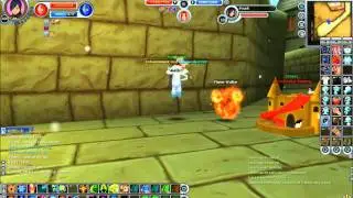 fiesta online lvl100 mage / warlock skills