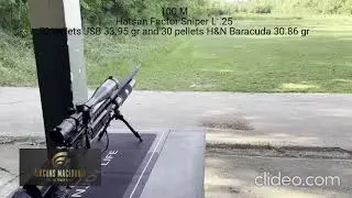 100 M Hatsan Factor Sniper L  .25 ... 70 pellets JSB  33.95 gr and 30 pellets H&N Baracuda 30.86 gr