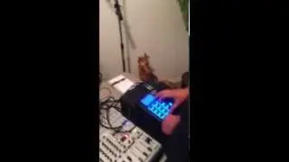 Live beat making session (Mic Feeder)