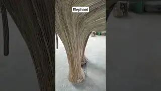 outdoor Elephant🐘🐘#Beautiful#make#stick...