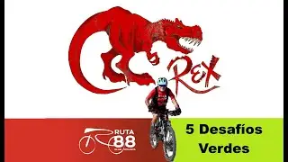 5 Desafíos Verdes