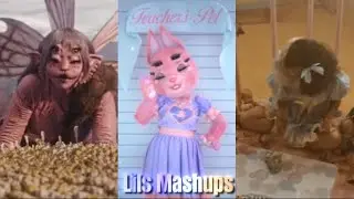 VENUS x Teacher&rsquo;s Pet x Pacify her [INTERLUDE || Mashup || M.M]