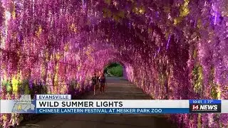 New Chinese lantern festival kicks off at Mesker Park Zoo