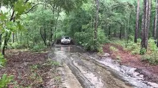 Croom WMA