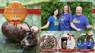 Give the Gift of Pollination