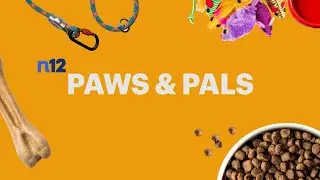 Paws & Pals Featuring Gatto Pups & Friends