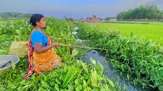 Fishing Video🐬🐬| Lady Hook Fishing In Our Village Canal Mud Water | fish catching video #fishing