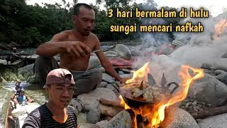 bermalam di hulu sungai mencari rezeki menangkap ikan dg cara tradisional