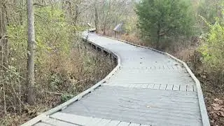 Центр водно-болотных угодий Pistol Creek в Мэривилле 4K