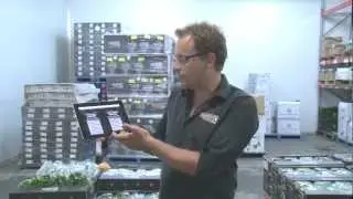 Australian Fresh Leaf Herbs