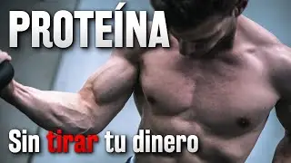 PROTEÍNA // ¿Cuánta debes TOMAR para ganar MASA MUSCULAR?