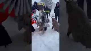 Caught on Camera: Incredible Rescue During Heavy Snowfall #Rescue #RealRescue #RescueTeam #Emergency