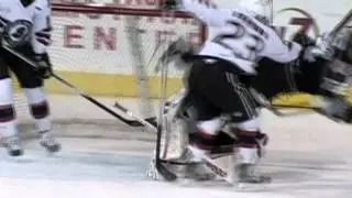 Hard Hitting, Action Packed Arizona Sundogs Hockey