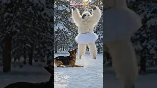 &ldquo;This Dog Will Make You Smile 😂🐶&rdquo;! funny shorts #shorts