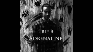 Trip B - Shithead II