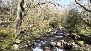 Shaugh Prior