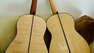 Beauty & Sound of Maple 🍁 Guitars 